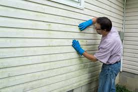 Best Insulated Siding Installation  in Green Level, NC